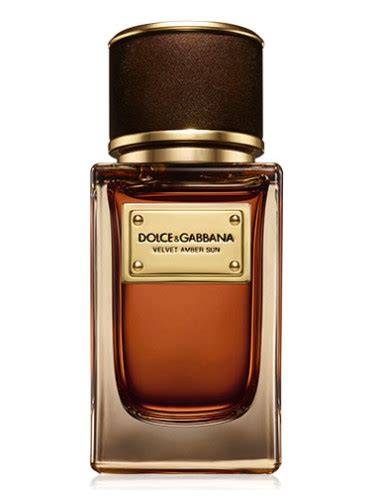 dolce gabbana amber|Velvet Amber Sun Dolce&Gabbana for women and men.